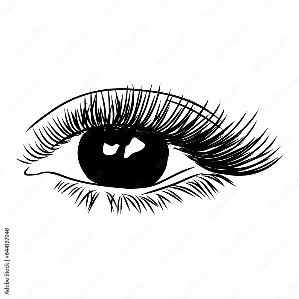 Beautiful woman eyes black and white drawing sketch. Vector fashion illustration. Beautiful woman eyes black and white drawing sketch. Vector fashion illustration.