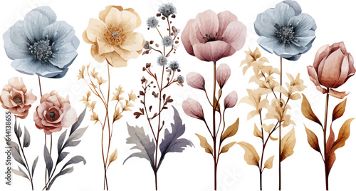 watercolor floral package collection. Use by fabric, fashion, wedding invitation, template, poster, romance, greeting, spring, bouquet, pattern, decoration and textile.	