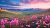 Covered in pink and blue small wildflowers beautiful Mountain valley