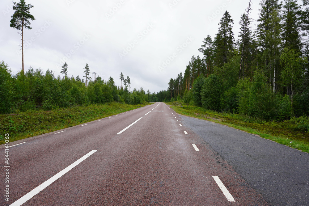 Fototapeta premium Einsame Straße in Schweden 
