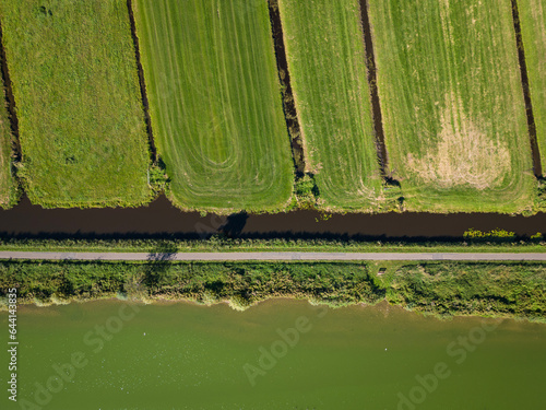 aerial shot of water at the surfplas manmade lake in Reeuwijkse plassen has turned green from algae bloom in summer. Cycle path separates wetland from agricultural farming polders on sunny summer day