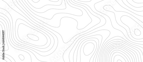 abstract White wave paper curved reliefs background .Panorama view gradient multicolor wave curve lines banner background design. Vector illustration. wave Line topography map contour background.