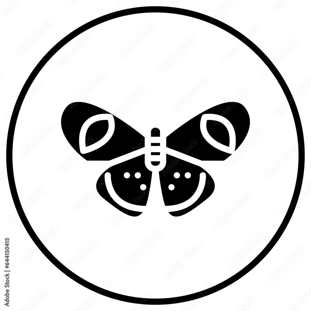 butterfly
butterfly
