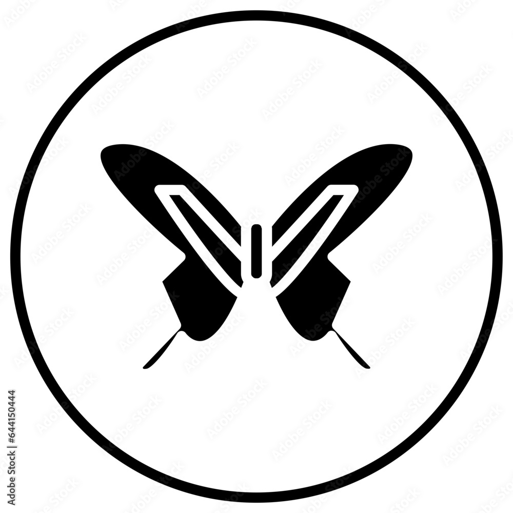 Fototapeta premium butterfly