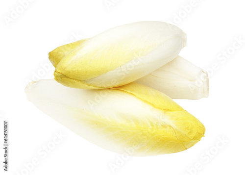 Endive, Chicory, Chicon, Witloof / on transparent background
