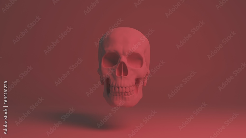 Skull 3d illustration. Man skull isolated. Concept art background image