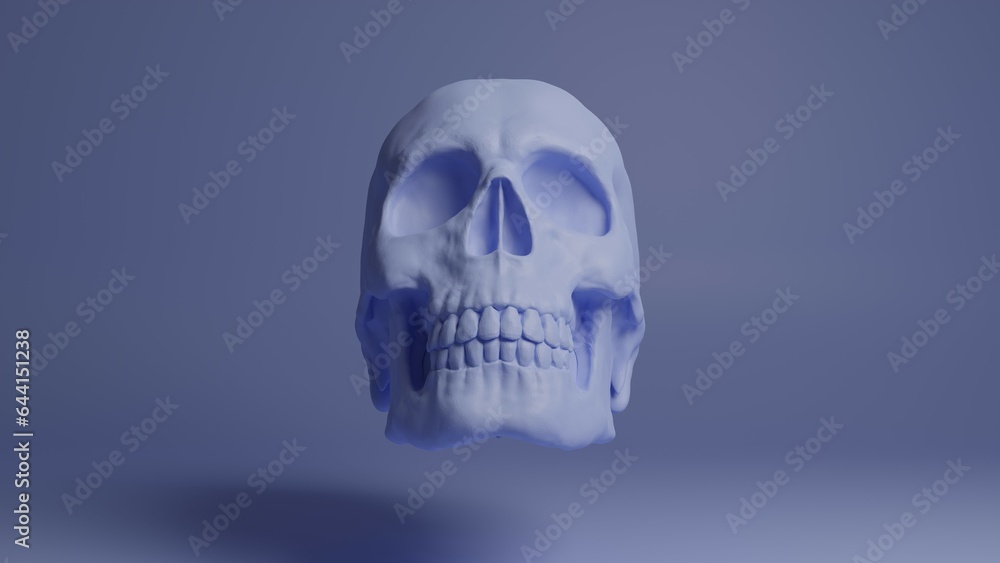Skull 3d illustration. Man skull isolated. Concept art background image Skull 3d illustration. Man skull isolated. Concept art background image