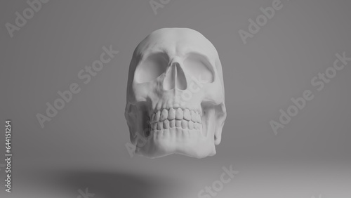 Skull 3d illustration. Man skull isolated. Concept art background image