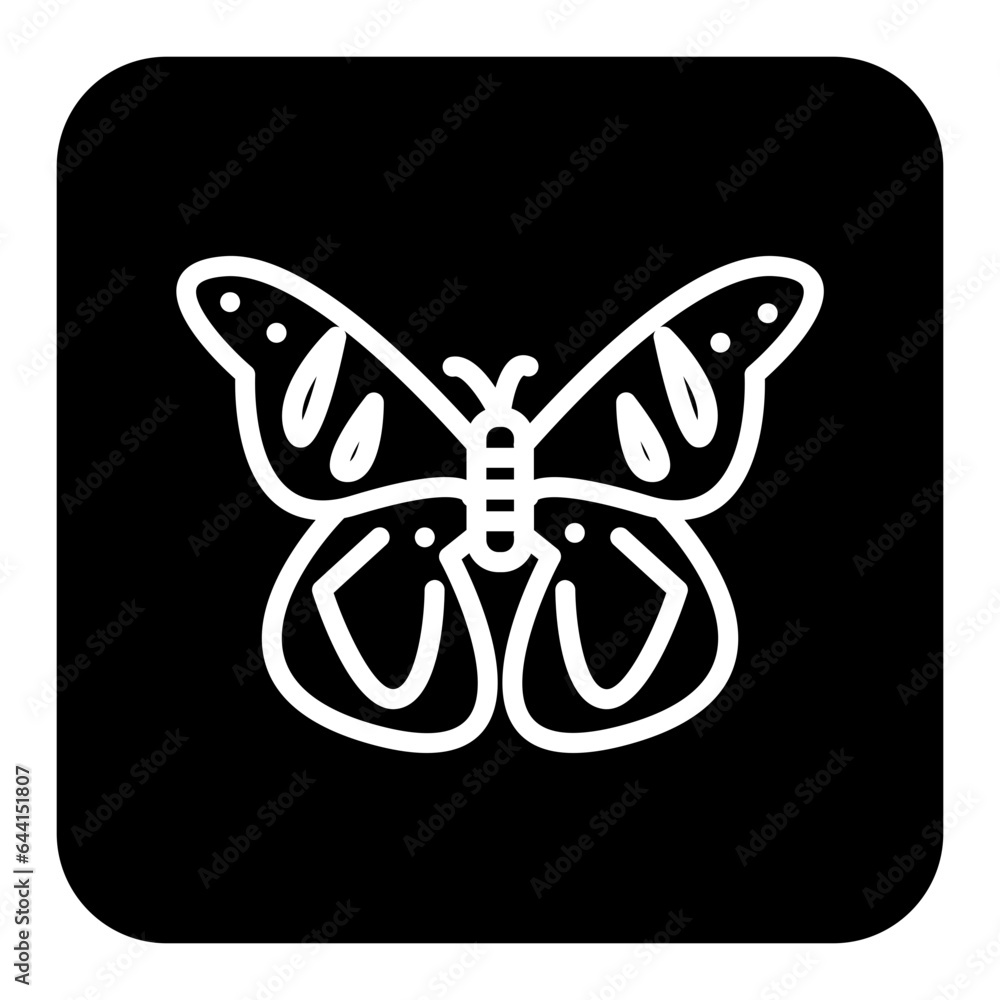 butterfly
butterfly