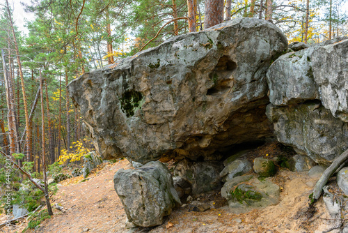 Landscape with rock in forest.