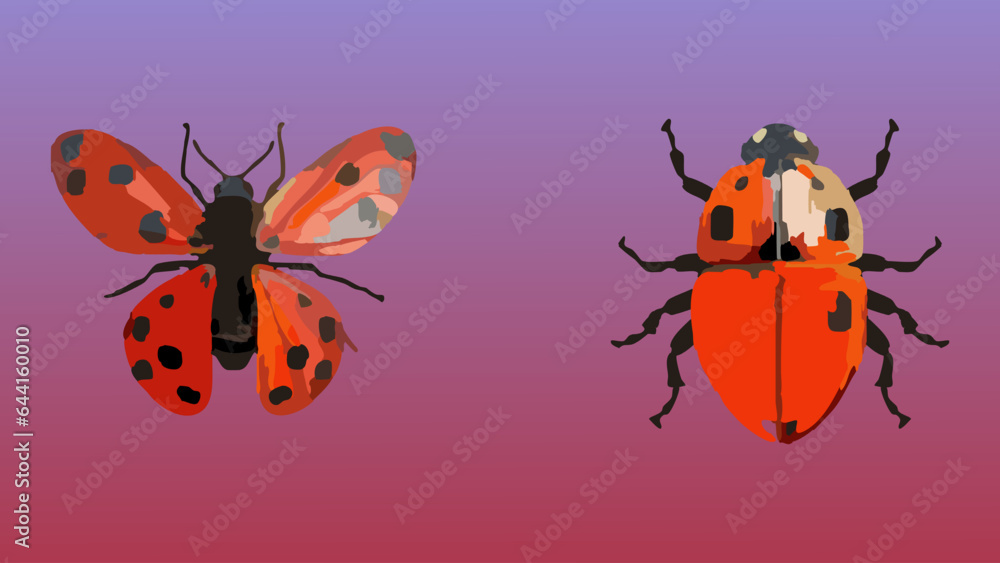 Fototapeta premium Abstract Beetles