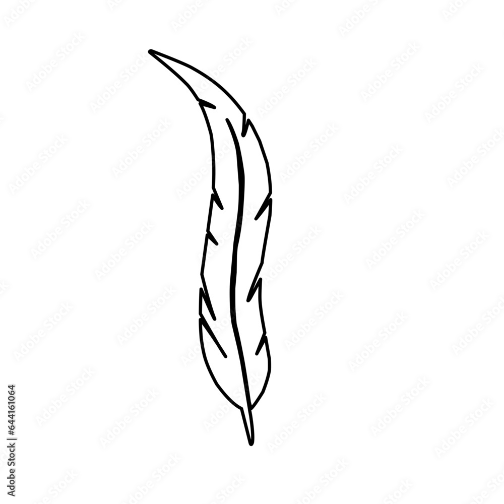 hand drawn feather outline hand drawn feather outline
