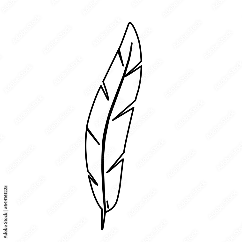 hand drawn feather outline hand drawn feather outline