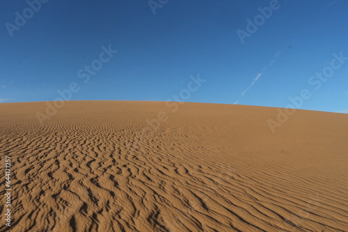 sand dunes in the desert