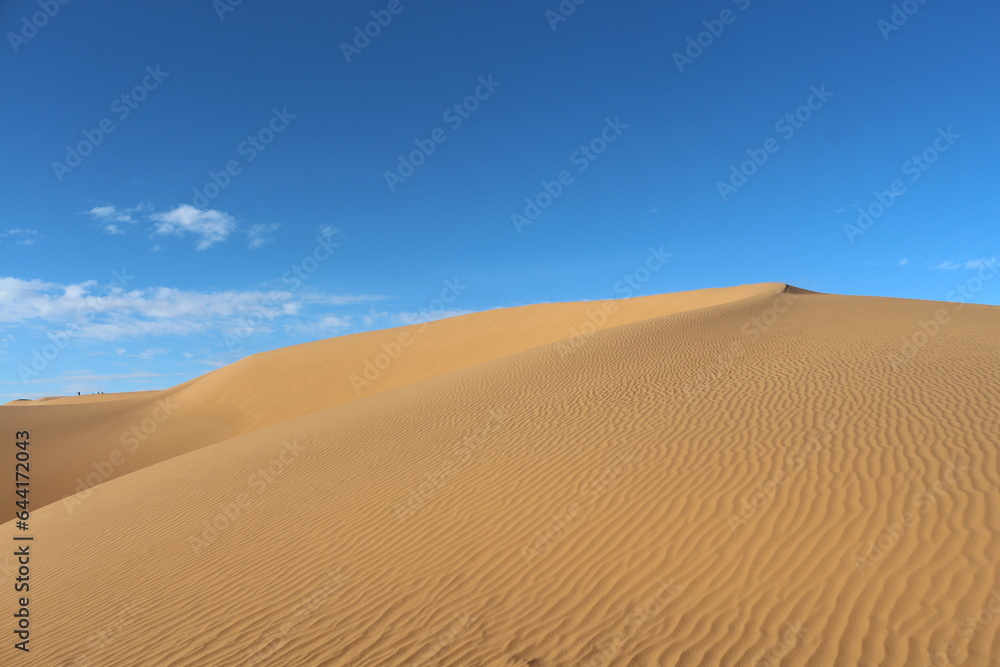 sand dunes in the desert sand dunes in the desert