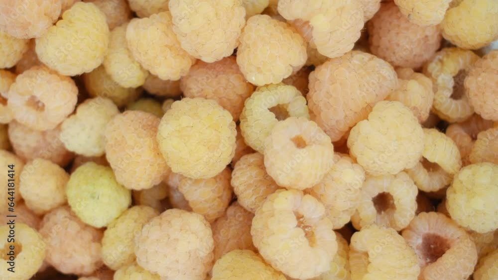 Close up of beautiful yellow raspberry. Fresh, juicy raspberry background, ripe. Healthy Food Organic Nutrition concept Close up of beautiful yellow raspberry. Fresh, juicy raspberry background, ripe. Healthy Food Organic Nutrition concept