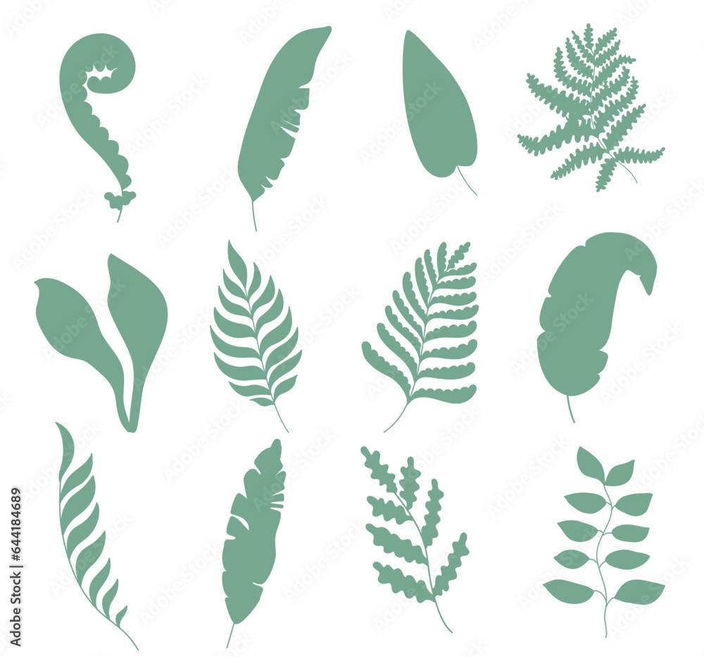 Tropical leaves silhouette