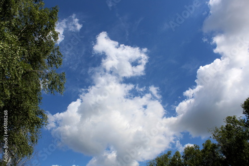 Sky with clouds and green trees.