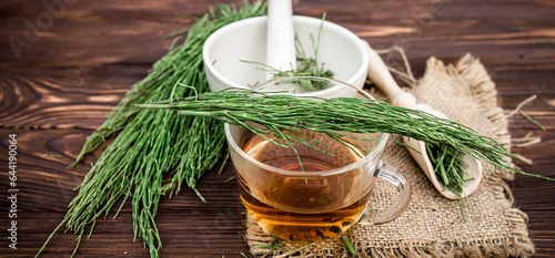 cup of tea from horsetail, made from fresh potion, from pharmacy mortar. Horsetail infusions are used as a diuretic for edema, anti-inflammatory for inflammatory processes