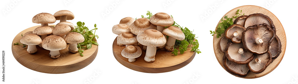 Set of Three Mushroom on wooden plate, platter isolated on transparent background. Set of Three Mushroom on wooden plate, platter isolated on transparent background.