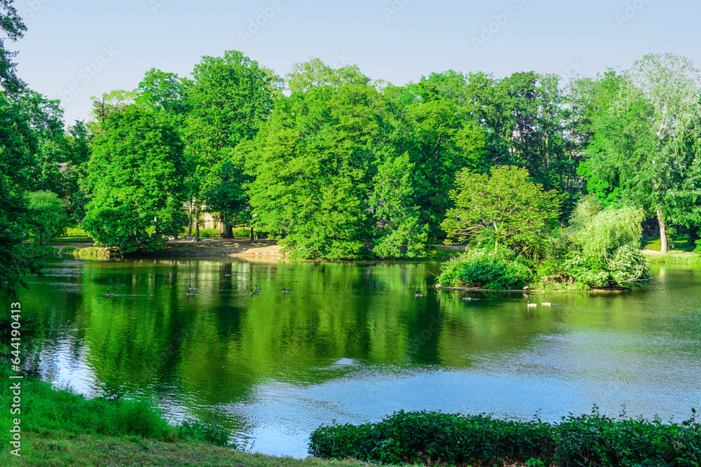 View of beautiful lake with ducks and green trees View of beautiful lake with ducks and green trees
