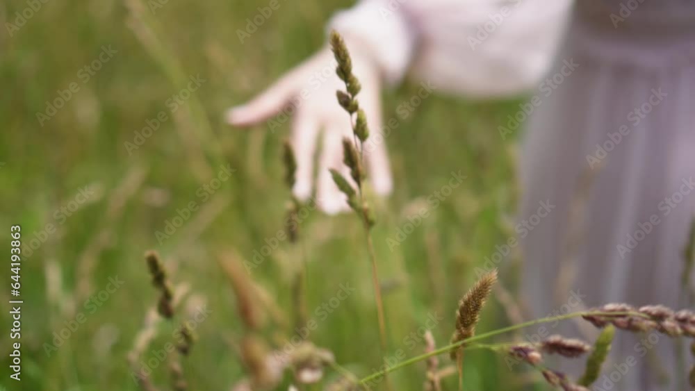 Hand of woman touching and moving over wild grass in slow motion and blurring in the end. Hand of woman touching and moving over wild grass in slow motion and blurring in the end.