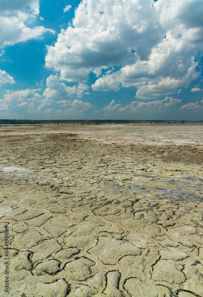 Obraz premium Sun-dried dead crustaceans Artemia salina on cracked therapeutic mud in the Kuyalnitsky estuary in the Odessa region