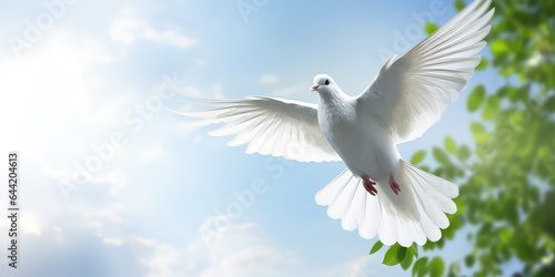 White dove with green leaves in the sky background, copy space. Creative banner of peace and light, God's grace.