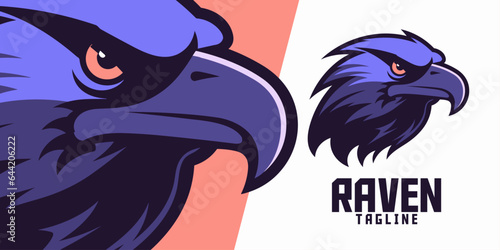 Raven Illustration: Logo, Mascot, Art, Vector Graphics for Sports and E-Sport Gaming Squads, Crow Mascot Head