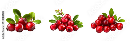 Set of Lingonberry isolated on transparent background. Concept of healthy fruit and fruit.