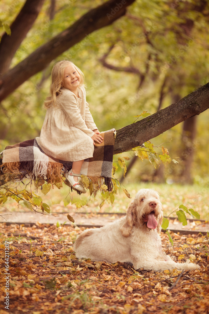 Little girl with white hair with dogs in the park in autumn Little girl with white hair with dogs in the park in autumn