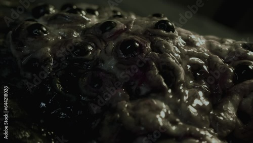 Close-up of disgusting crawling alien creature with many eyes. Sci-fi, science fiction film theme. Ommetaphobia, trypophobia concept. Horror movie clip. Extraterrestrial monster. Parasite.  photo