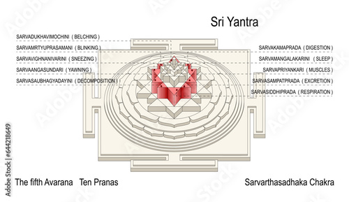 Sarvarthasadhaka Chakra. The fifth Avarana Ten Pranas. Life-Forces. Respiratory System.
Maha Meru Shree Yantra for Increasing Abundance Rectification Tool Vastu. Sri Vidya Devotional Item for Altar.