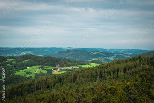 Fototapeta Naklejka Na Ścianę i Meble -  a drone view over a coniferous forest