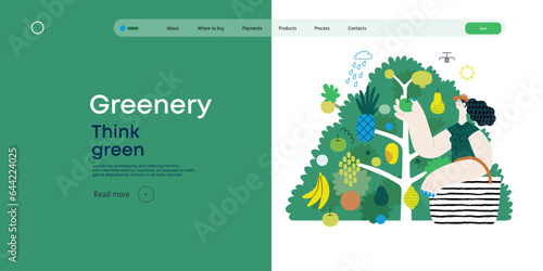 Greenery, ecology -modern flat vector concept illustration of a woman gathering fruit from the 40 fruit tree. Metaphor of environmental sustainability and protection, closeness to nature