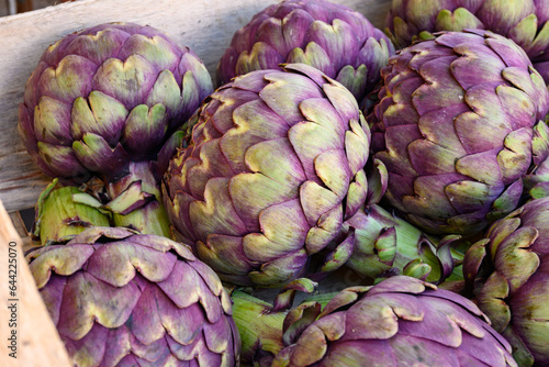 Big purple globe artichokes heads vegetables on farmers market in Brittany, France