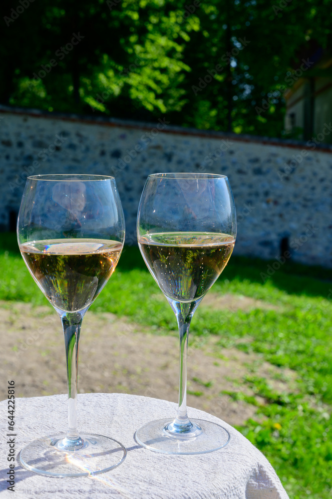 Tasting of premier cru sparkling rose wine with bubbles champagne with view on green pinot noir, meunier vineyards of Hautvillers, France. Tasting of premier cru sparkling rose wine with bubbles champagne with view on green pinot noir, meunier vineyards of Hautvillers, France.
