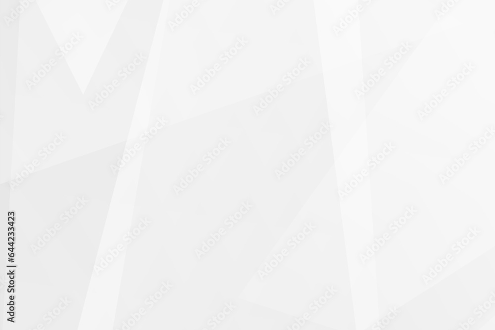 Obraz premium Abstract white and grey on light silver background modern design. Vector illustration EPS 10.