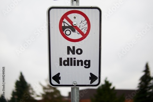 Tableau sur toile No idling
