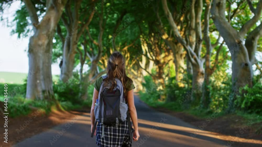 Girl walking through Dark Hedges in Ireland. Overgrown forest on road Girl walking through Dark Hedges in Ireland. Overgrown forest on road