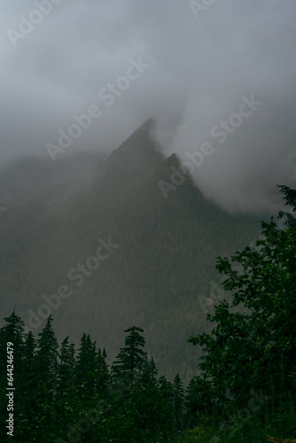 Foggy Moutain Washington. Hoh river, Olympic National park, Washington USA