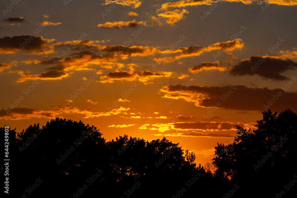 summer sunset in Liberty State Park, Jersey City, New Jersey summer sunset in Liberty State Park, Jersey City, New Jersey