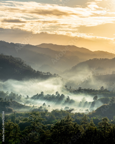 Paisaje de amanecer en Siguatepeque, Comayagua, Honduras. Con niebla y pinos. © David