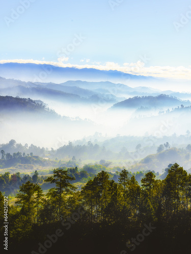 Paisaje de amanecer en Siguatepeque, Comayagua, Honduras. Con niebla y pinos. © David