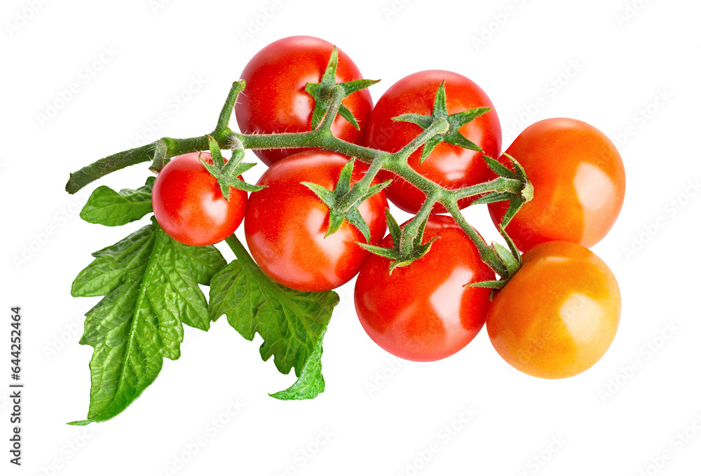 Fresh Tomatoes with green leaves. Tomato vegetables brunch. Vegetable isolated on white background. Organic natural farm grown food harvest Fresh Tomatoes with green leaves. Tomato vegetables brunch. Vegetable isolated on white background. Organic natural farm grown food harvest