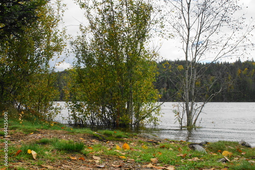 Flooded Windfallweiher Reservoir  between the Titisee and the Schluchsee in the south of Baden-Württemberg in the Upper Black Forest,  Raitenbuch, Lenzkirch, Landkreis, Baden-Wurttemberg, Germany photo