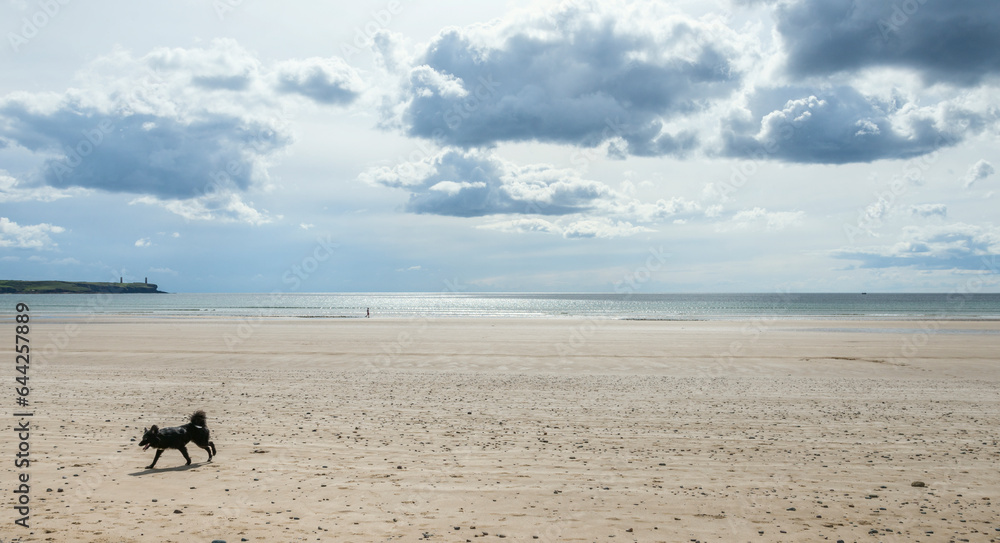 A panoramic view of Tramore Beach in Ireland