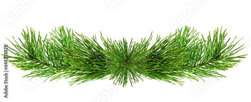 christmas  pine tree branch, xmas holiday evergreen fir or spruce decoration. Web banner template.