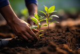 A close-up of a student's hand planting a sapling as part of an environmental awareness campaign. Generative Ai.