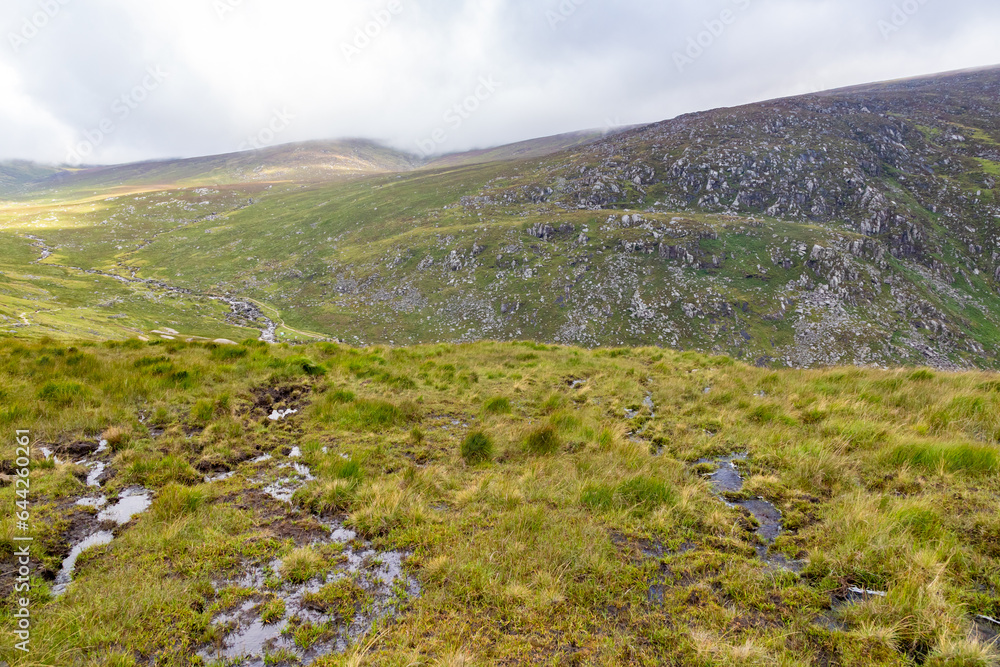 Obraz premium Trail in Wicklow mountain